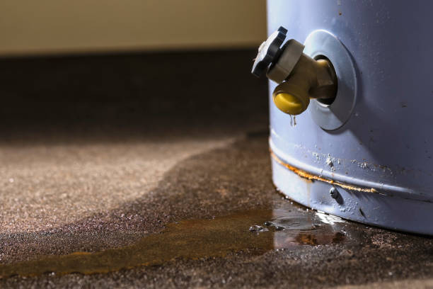 Best Sewage cleanup and water damage restoration  in Roosevelt, NY