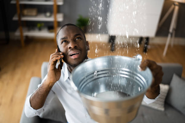 Best 24-hour water damage restoration  in Roosevelt, NY