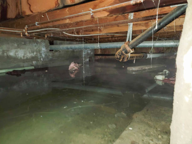 Best Fire Damage Restoration  in Roosevelt, NY