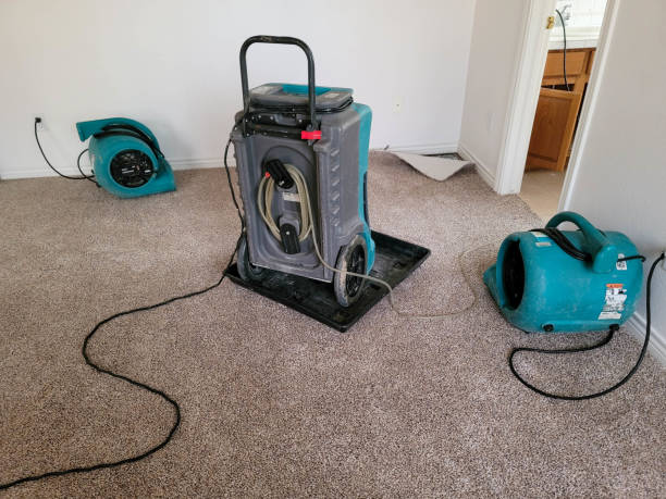 Best Local water damage restoration  in Roosevelt, NY