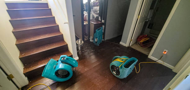 Water damage restoration process in Roosevelt, NY