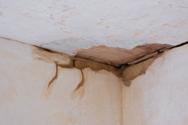 Best Water damage cleanup near me  in Roosevelt, NY