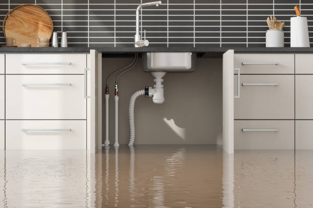 Best Flooded house restoration  in Roosevelt, NY