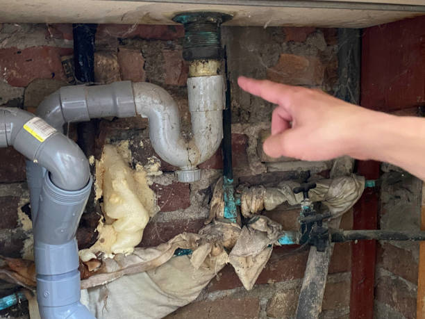  Roosevelt, NY Water damage restoration Pros