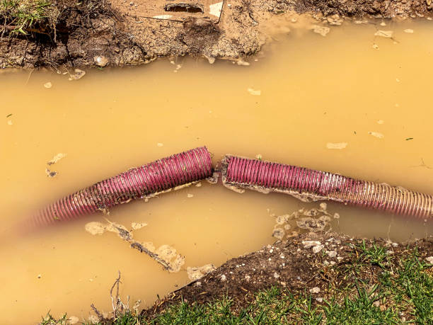 Best 24/7 water damage repair  in Roosevelt, NY
