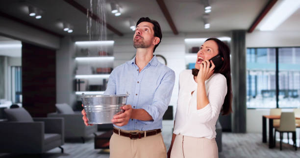 Reliable Roosevelt, NY Water damage restoration Solutions
