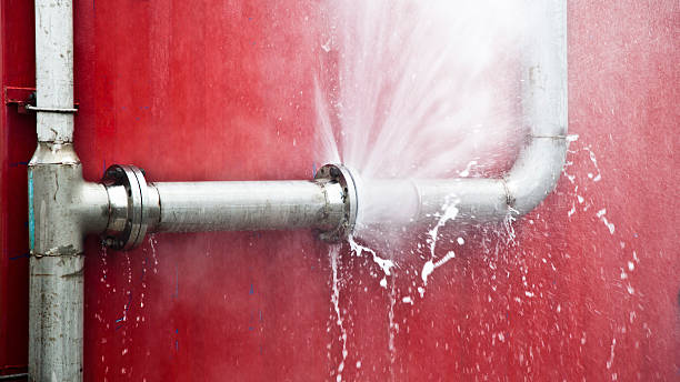 Best Water damage restoration services  in Roosevelt, NY